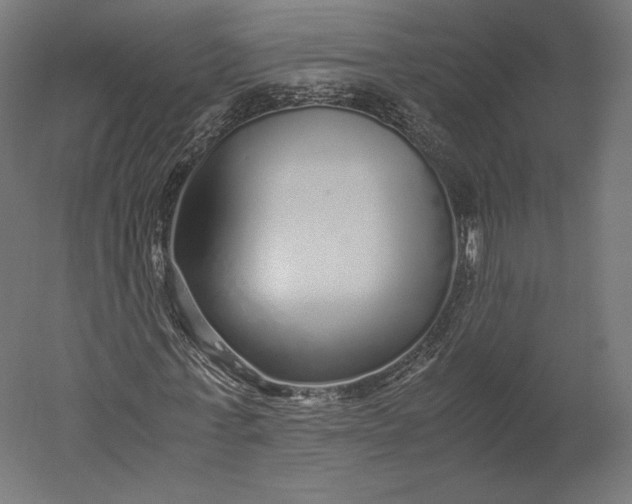 X0000051250771200507011651