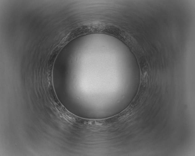 X0000051250772200507011651