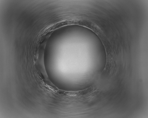 X0000051250773200507011651