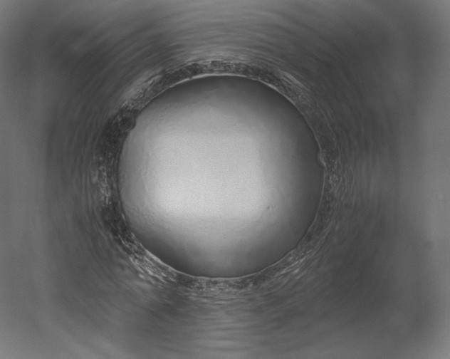 X0000051250774200507011651