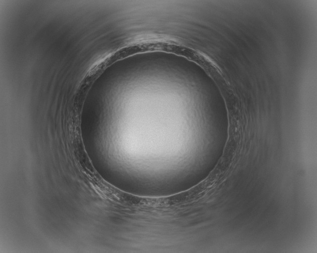 X0000051250775200507011651