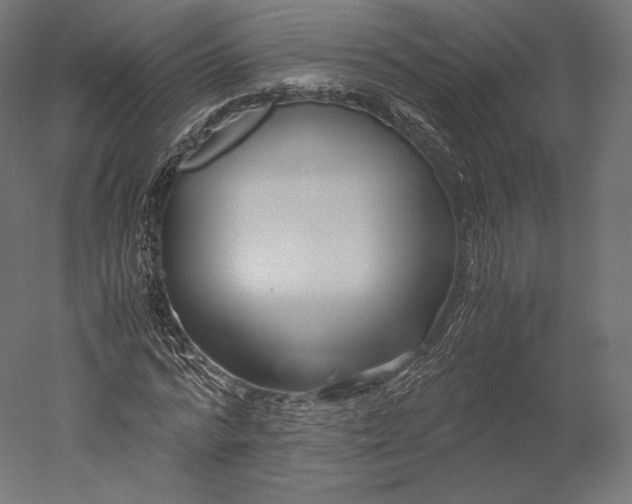 X0000051250776200507011651