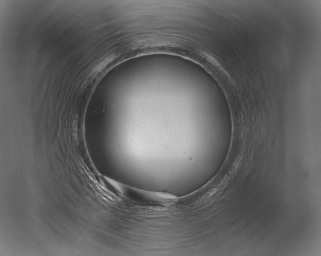 X0000051250777200507011651