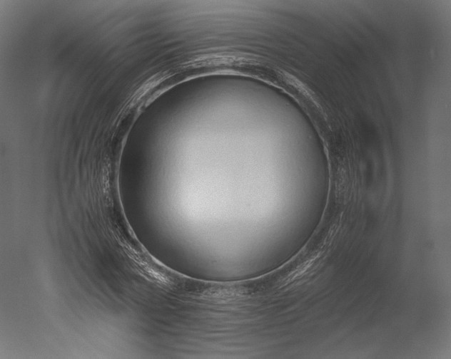 X0000051250778200507011651