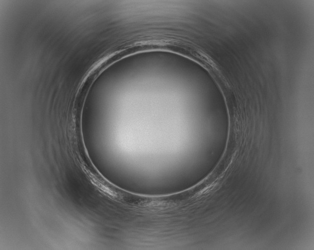 X0000051250779200507011651