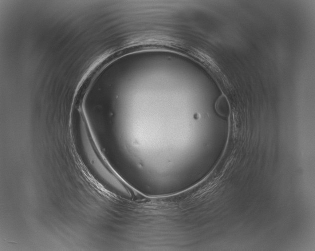 X0000051250780200507011651