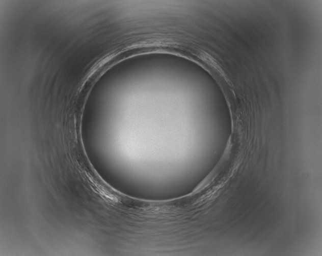 X0000051250781200507011651