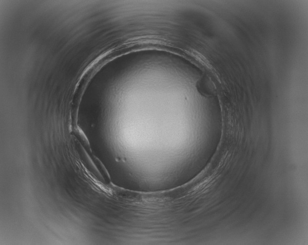 X0000051250782200507011651