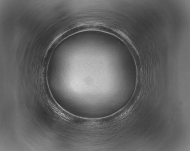 X0000051250783200507011651