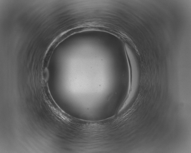 X0000051250784200507011651