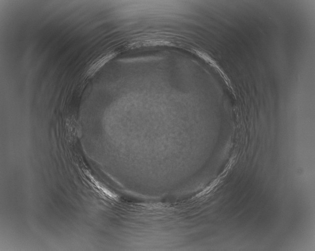 X0000051250785200507011651