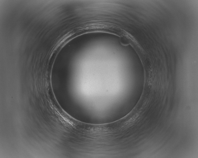 X0000051250786200507011651