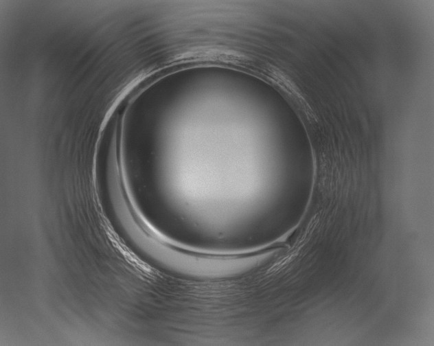 X0000051250788200507011651