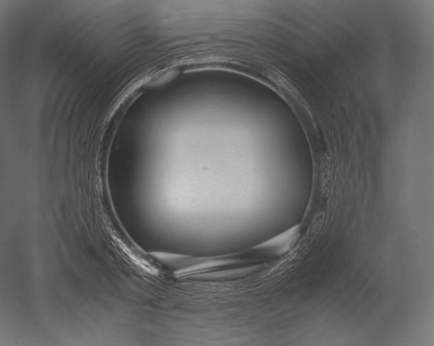 X0000051250789200507011651