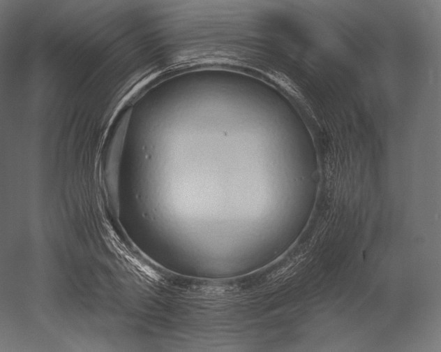 X0000051250790200507011651