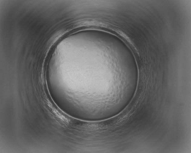 X0000051250791200507011651