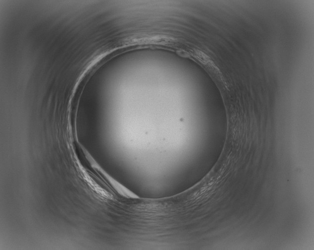 X0000051250792200507011651