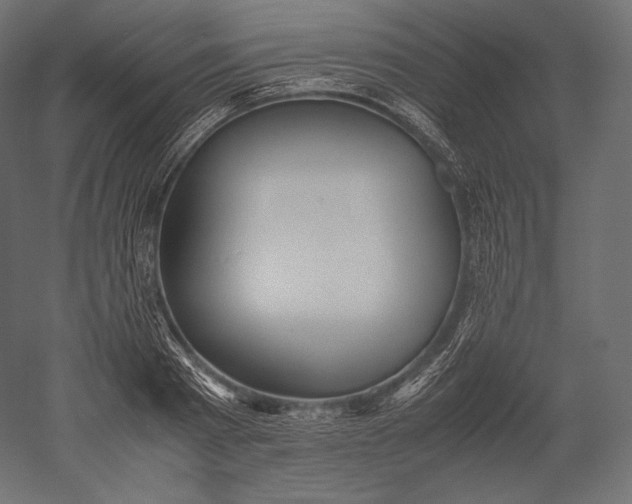 X0000051250793200507011651