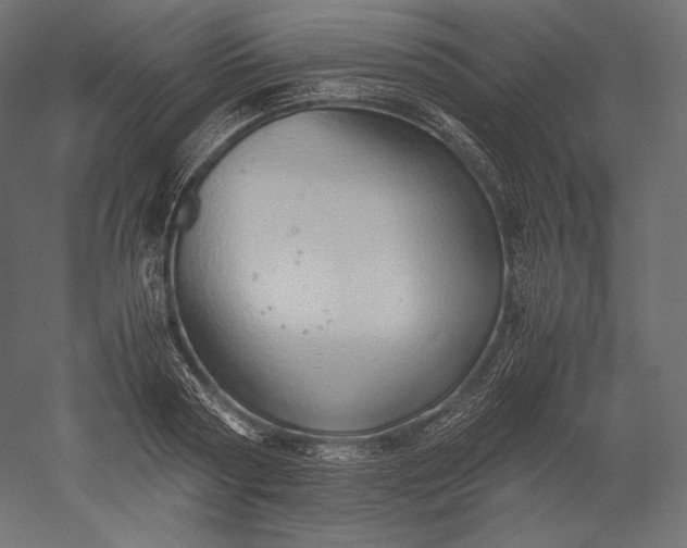 X0000051250794200507011651