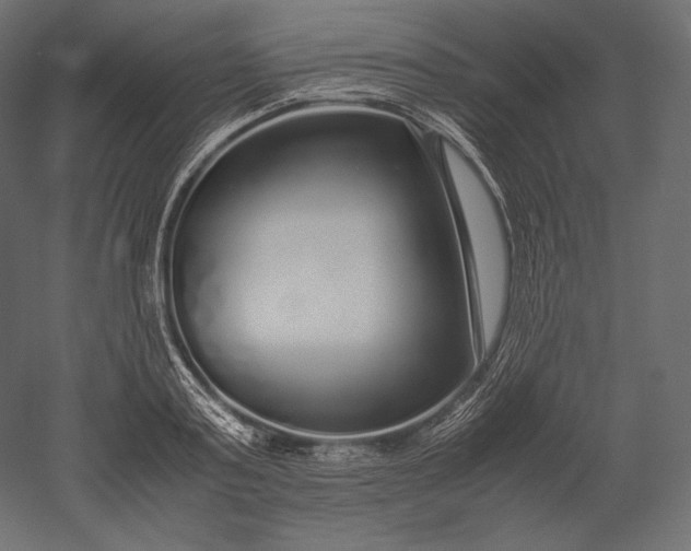 X0000051250795200507011651