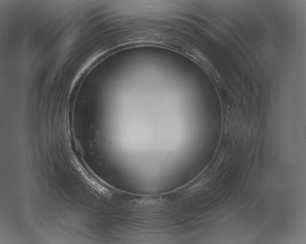 X0000051250796200507011651