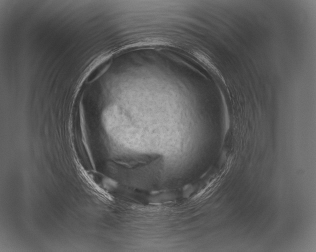 X0000051250797200507011651