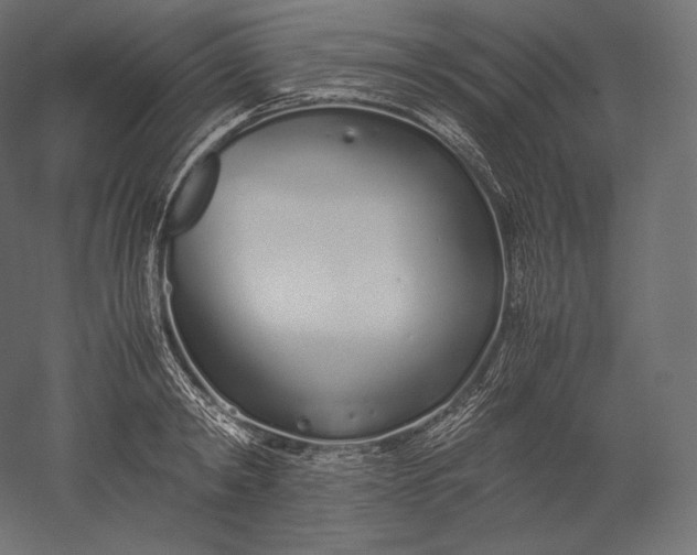 X0000051250798200507011651