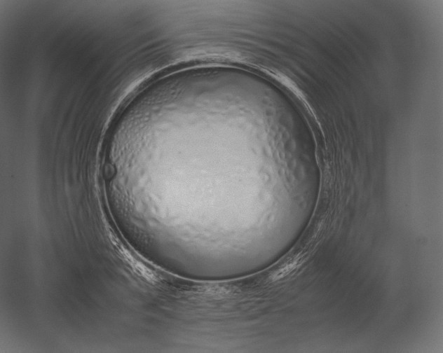 X0000051250799200507011651