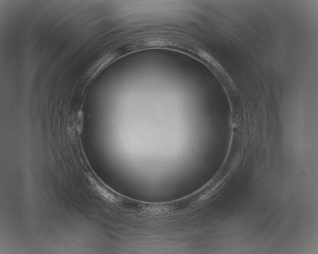 X0000051250801200507011651