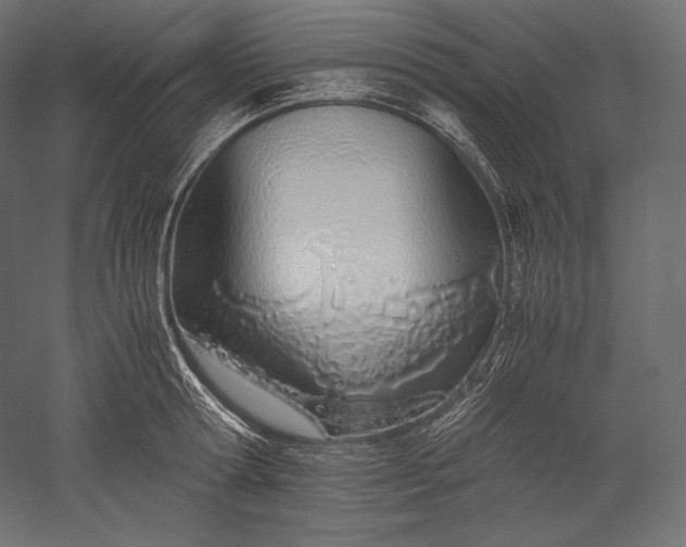 X0000051250802200507011651