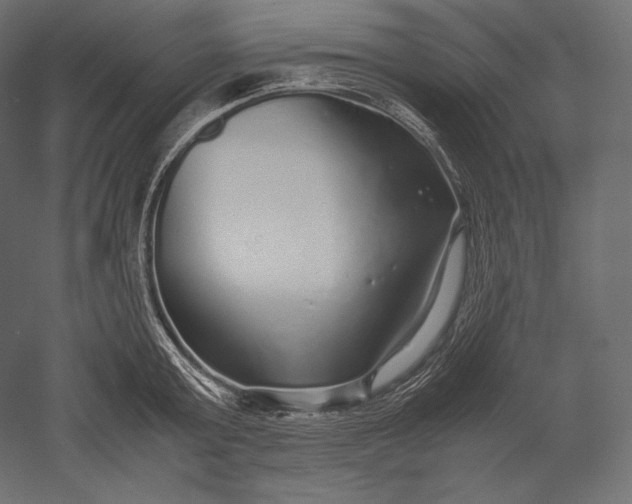 X0000051250803200507011651