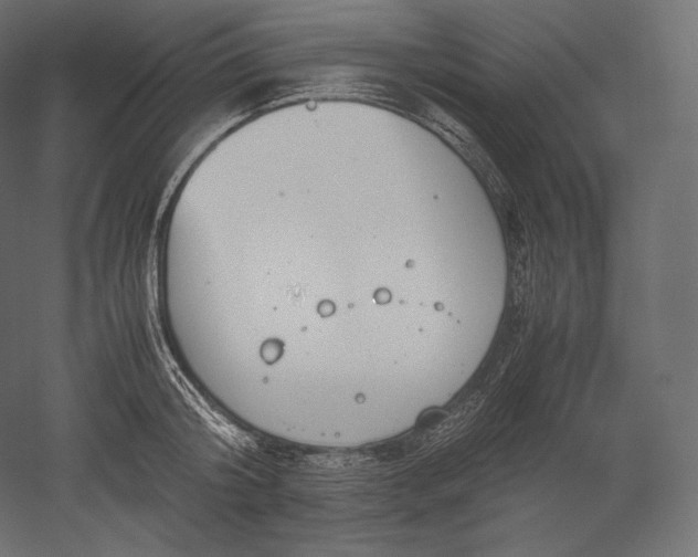 X0000051250804200507011651