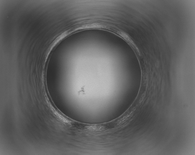 X0000051250805200507011651