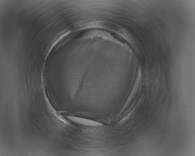 X0000051250806200507011651