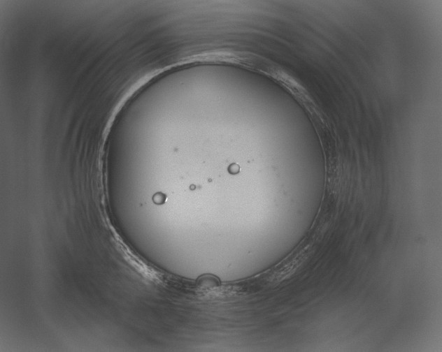 X0000051250808200507011651