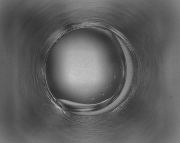 X0000051250809200507011651