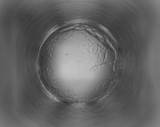 X0000051250810200507011651