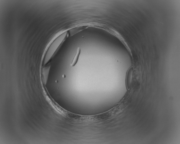 X0000051250811200507011651