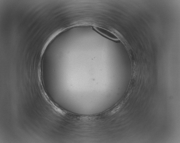 X0000051250812200507011650