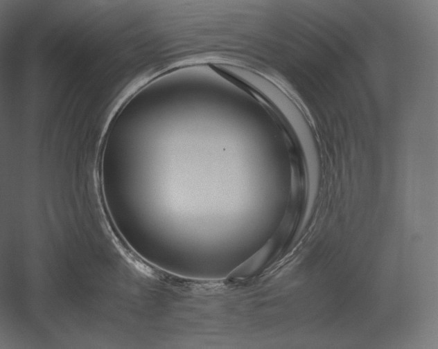 X0000051250813200507011650