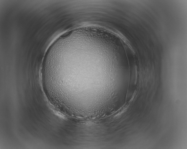 X0000051250814200507011650