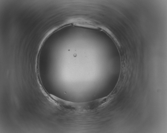 X0000051250815200507011650