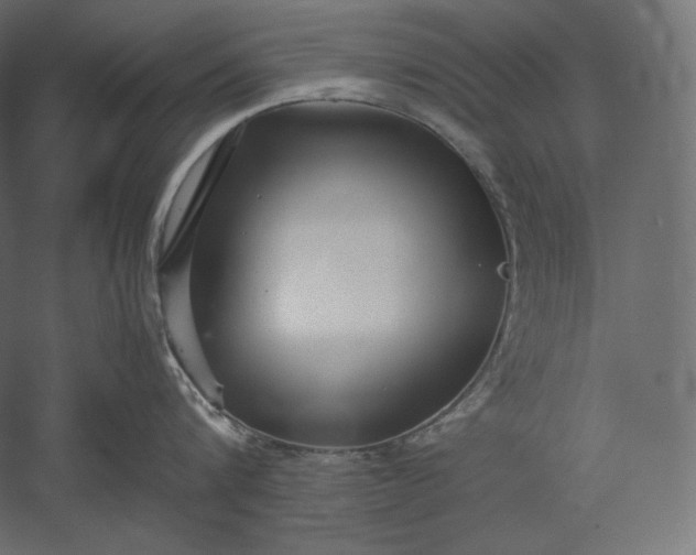 X0000051250816200507011650