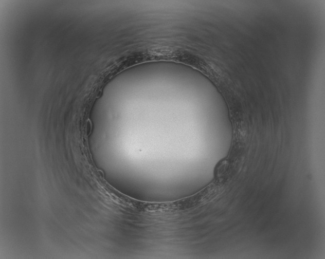 X0000051250817200507011650