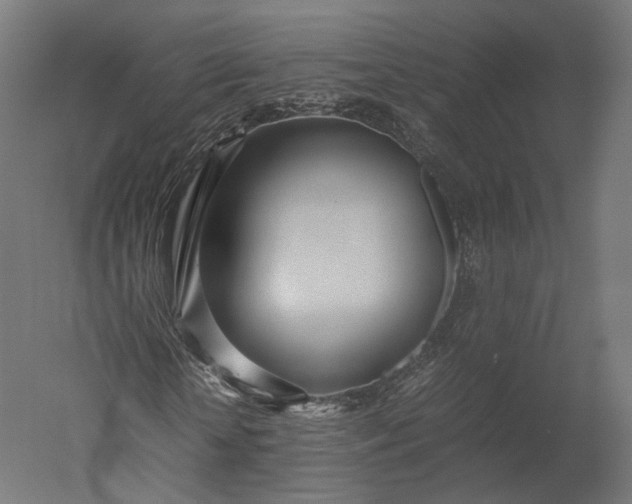 X0000051250818200507011650