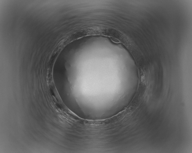 X0000051250819200507011650