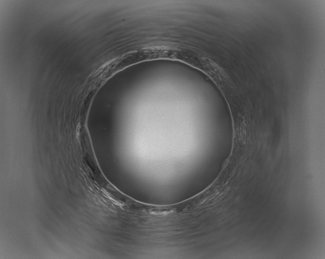 X0000051250821200507011650