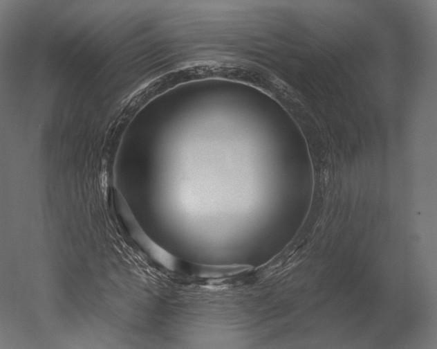 X0000051250822200507011650