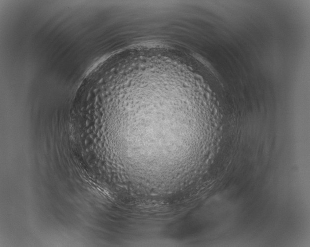 X0000051250823200507011650