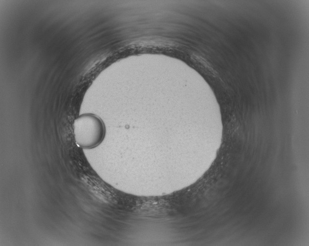 X0000051250824200507011650